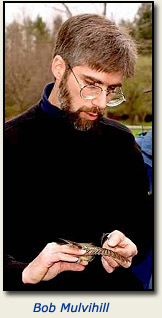 Bob Mulvihill