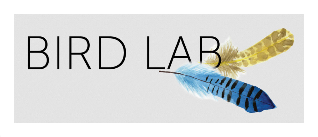 Bird Lab