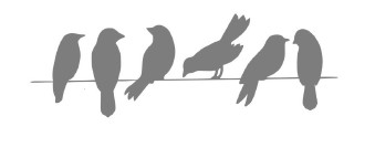 Bird Group