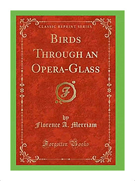 Bailey's <i>Birds Through an Opera-Glass</i>
