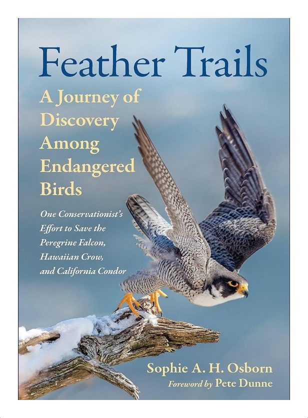 Feather Tails Cover