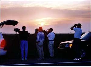 Watching Black-bellied Plover at sunrise in Leipsic, DE.