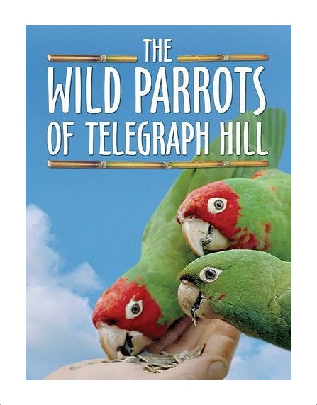 Wild Parrots Title