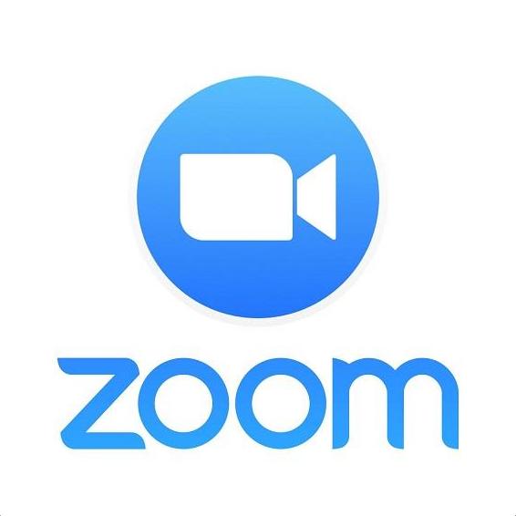 Zoom Icon